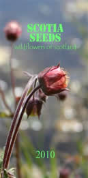 front cover of Scotia Seeds catalogue 2010
