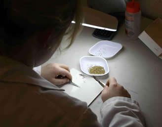 Laboratory January 2007