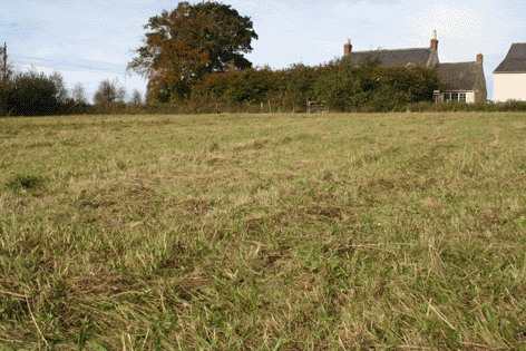 Cut meadow