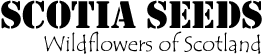 Scotia Seeds logo
