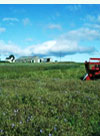 Combine harvester with Meadow cranesbill crop at Mavisbank