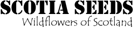 Scotia Seeds logo