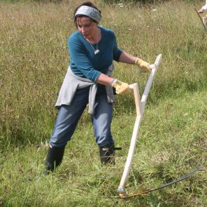 Snath (scythe handle)