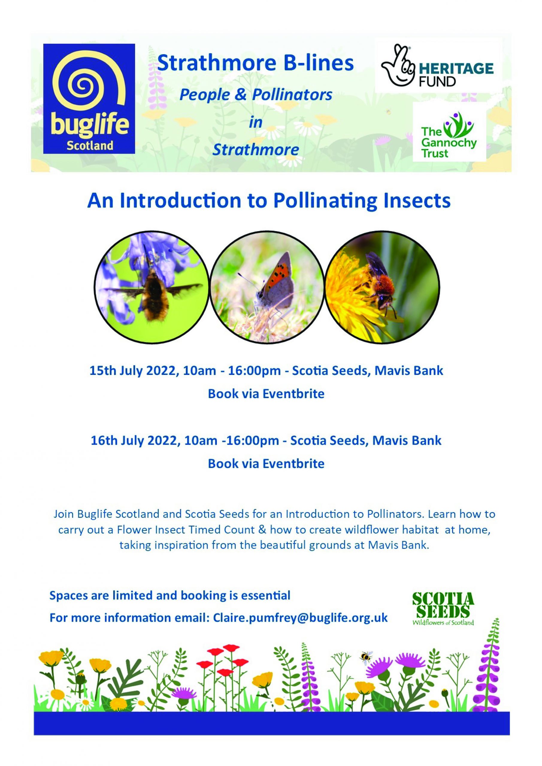 An Introduction to Pollinating Insects workshop; come and find out about the beasties of Mavisbank with Buglife